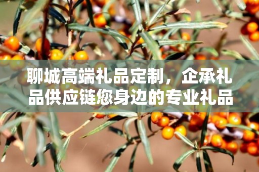 聊城高端礼品定制，企承礼品供应链您身边的专业礼品定制公司