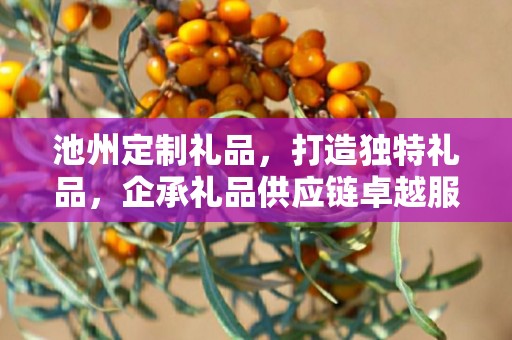 池州定制礼品，打造独特礼品，企承礼品供应链卓越服务