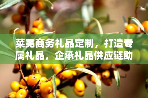 莱芜商务礼品定制，打造专属礼品，企承礼品供应链助力商务往来
