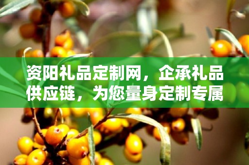 资阳礼品定制网，企承礼品供应链，为您量身定制专属礼品