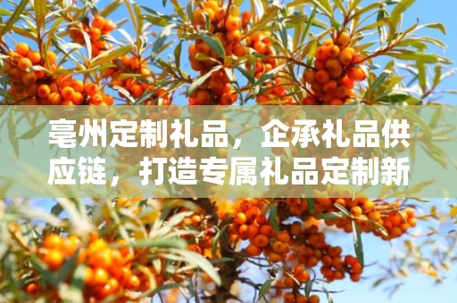 亳州定制礼品，企承礼品供应链，打造专属礼品定制新体验